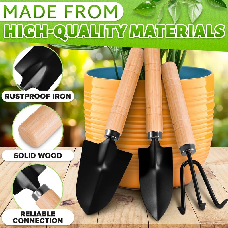 DIMROM Small Garden Tools - 3 Pcs Mini Garden Tools Set with Small Trowel, Mini Shovel & Hand Rake Made of Rust-Resistant Iron & Solid Wood - Indoor Gardening Tools Set for Succulent, Bonsai & Pot Plants - Image 3